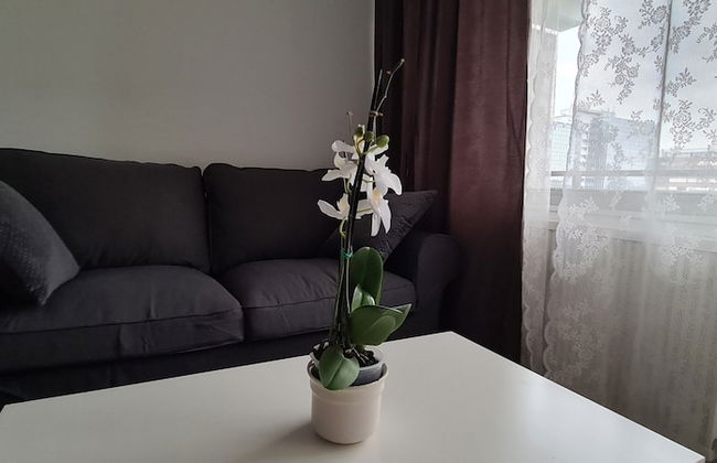 Features of Good And Night - Foto 8