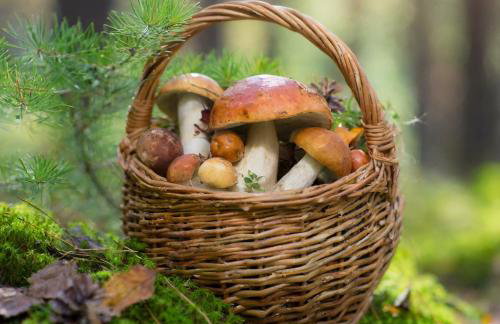 Całoroczny Domek Hampton Lubniewice, jezioro, jacuzzi - Foto 64