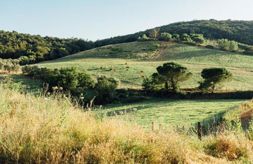 Fontemarinaalta - Foto 33