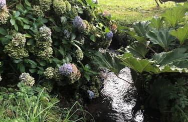 Gîte du moulin de Trostang - Foto 15