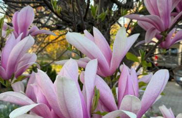 Ferienwohnung Landshut am Gambach - Photo 2