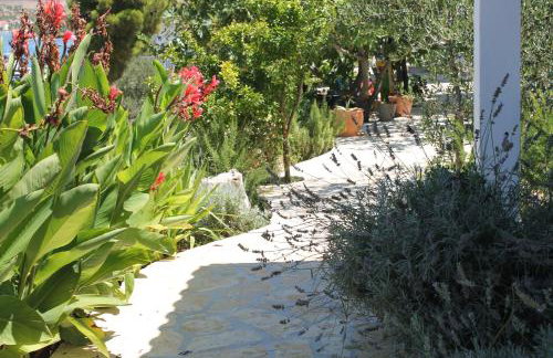 Villa Gjardini - Sparadici - Photo 15