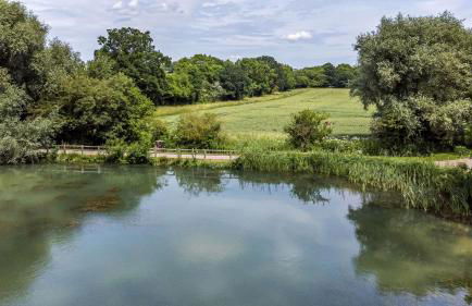 The Shepherds Hut at Bridge Lake Farm & Fishery - Foto 39