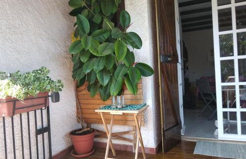 Alimede al Circeo - Foto 19