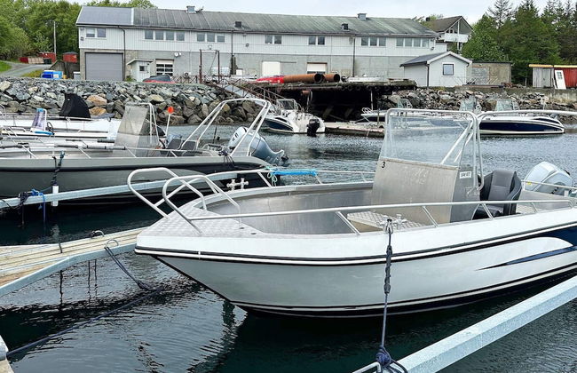 4 Person Holiday Home in Oksvoll - Foto 8