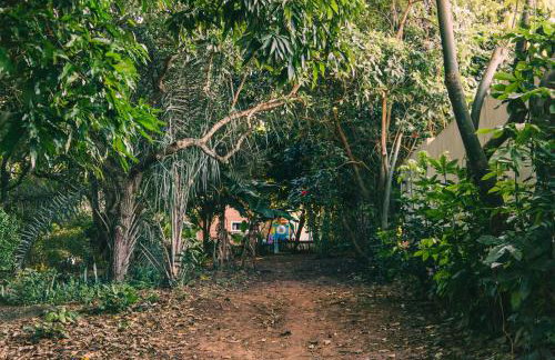 Recanto Pitanga - Foto 12