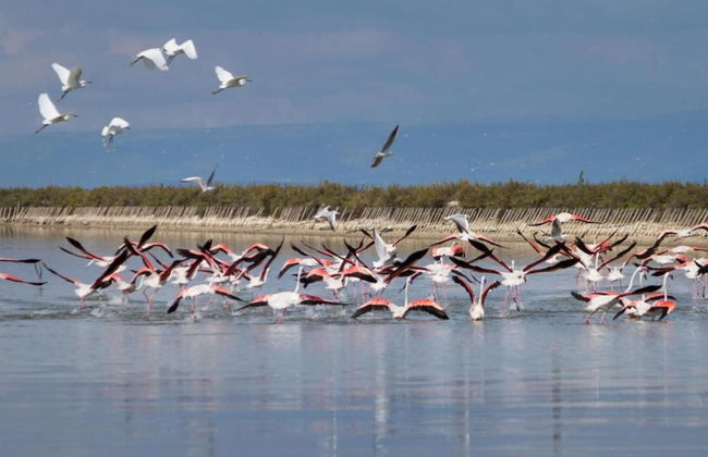 Villa Near Lecce With Garden and Beaches - Foto 35