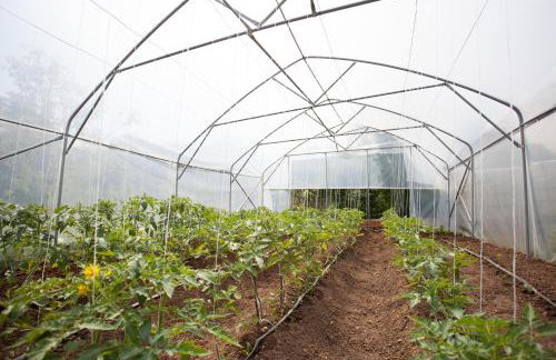 Apartments Gorančica - Foto 34