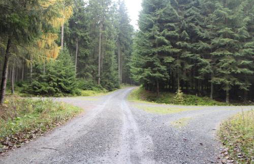 ZumSeehörnchen Haus Schmetterling - Foto 22