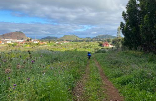 Garden Golf Tenerife - Foto 37
