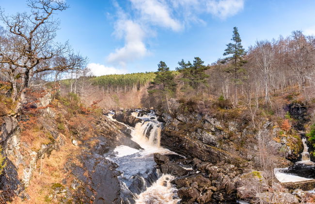 Balnain 3 Bed - Foto 43