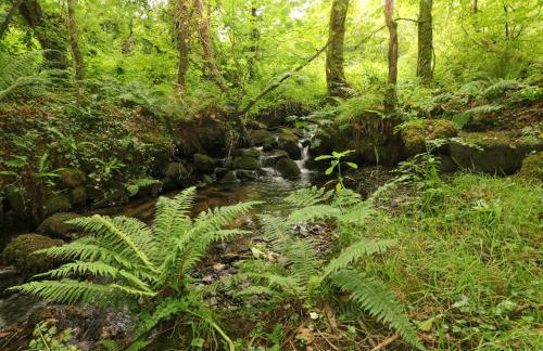 Trewrach Cottage - Foto 26