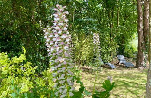 Duplex Bellevue, vue mer, à 50m de la plage! - Foto 25