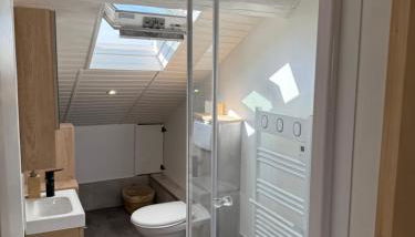 Studio secteur rives de meurthe - Foto 4, Shower