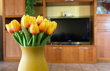 Skyscraper Apartment Pontedera - Foto 28