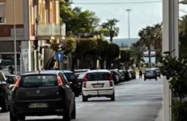 Fiore di Marte - Foto 23