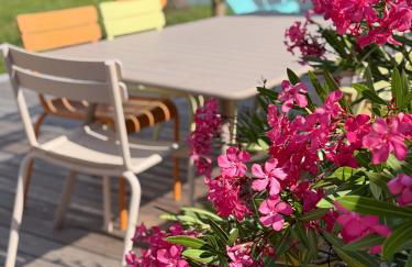 L'Olivier de Milou - Foto 54