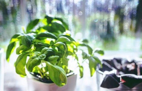 Adriatic Coves-Sea View Balcony Apartment - Foto 12