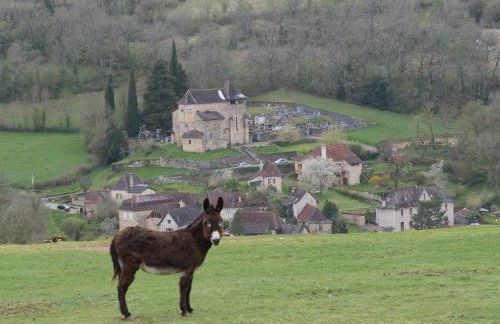 Gite de la source du Touron - Foto 17