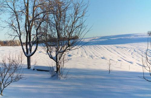 Apartments Patar - Foto 4