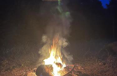 Domki Carmen - Foto 70