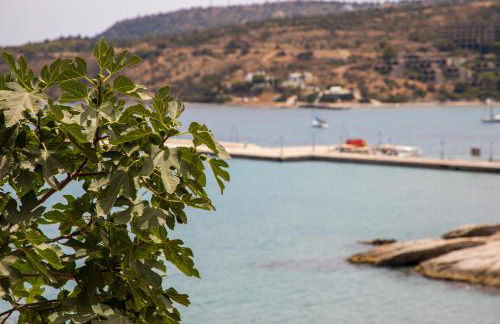 Sea La Vie - Foto 21