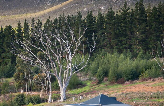 Clouds End Farm - Foto 4