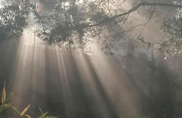 Villa Le Mas des Roches à 15mn airport Marseille - Photo 14