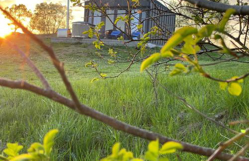 GLAMP GLAMOUR***** - Foto 8