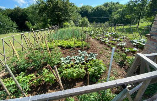 Apartment I&M - Foto 30