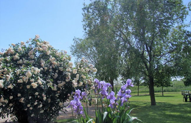 Agriturismo Sesta Presa - Foto 55