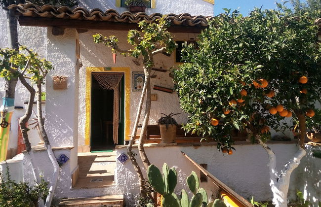 Zagara di Sicilia - Foto 67