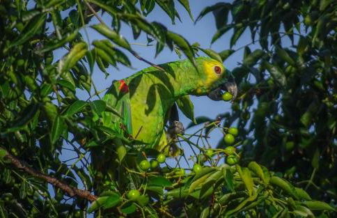 Atelier que virou um Loft em florianopolis - Foto 9