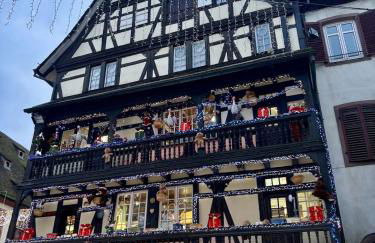 Cocon au cœur des Vosges - Foto 16