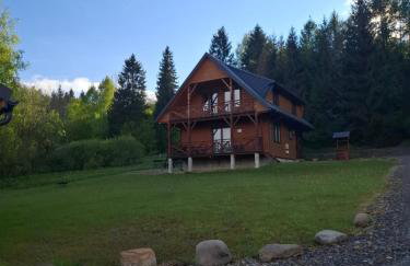 DoMarka całoroczny dom w Bieszczadach - Foto 9