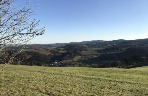 Schwedenhaus Kaminzauber - Foto 18