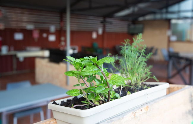 Tasman Holiday Parks - Albany - Foto 56