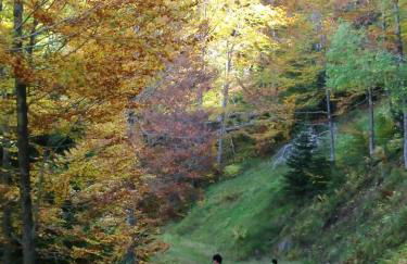 Mira Moleta bienvenidos a Canfranc - Photo 29