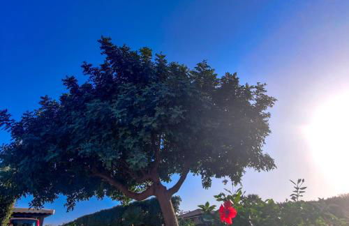 Villa Castiglione - Foto 16