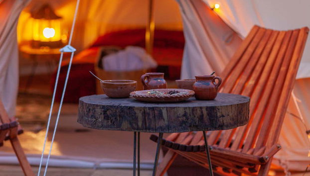 Night at the Firefly Sanctuary - Foto 4