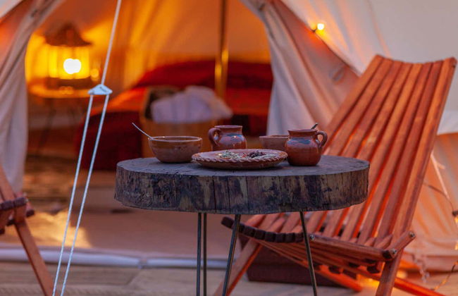 Night at the Firefly Sanctuary - Photo 4