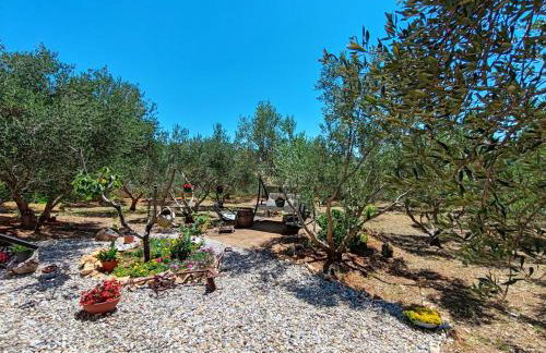 Olive garden Platinum, Posedarje - Photo 60