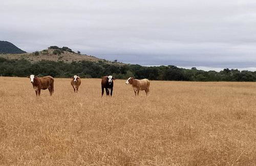 Lakefront Texas Hill Country Rental near Bandera, TX - Foto 16