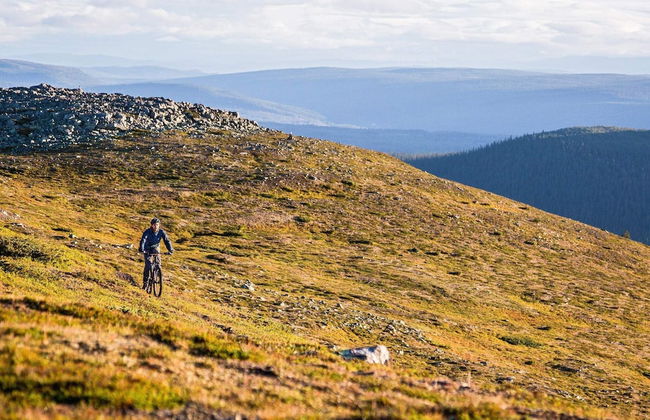 8 Person Holiday Home in Lofsdalen - Photo 30