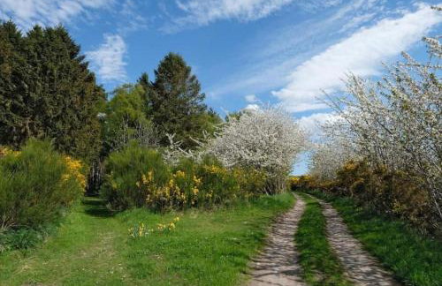 Lower Bruntlands - Foto 14