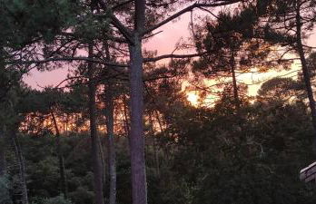 Petit Appartement dans les Arbres - Foto 13