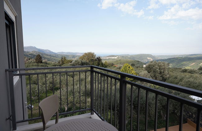 Olive Tree - Foto 47