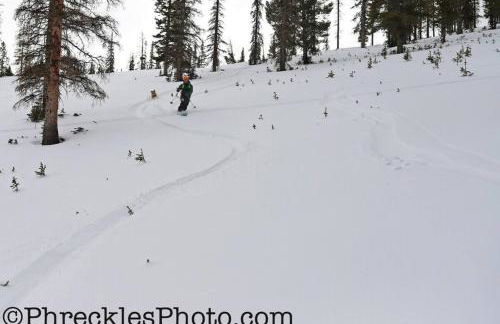 Turn Of The Century Gem On The Park, Downtn Str576 - Foto 39