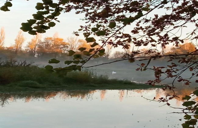 Charming Holiday Home in Gargas With Swimming Pool - Photo 37