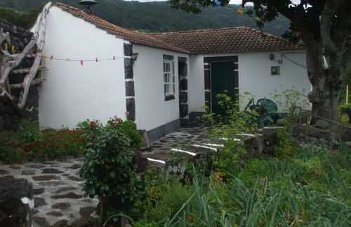 Adega do Batista - Photo 9